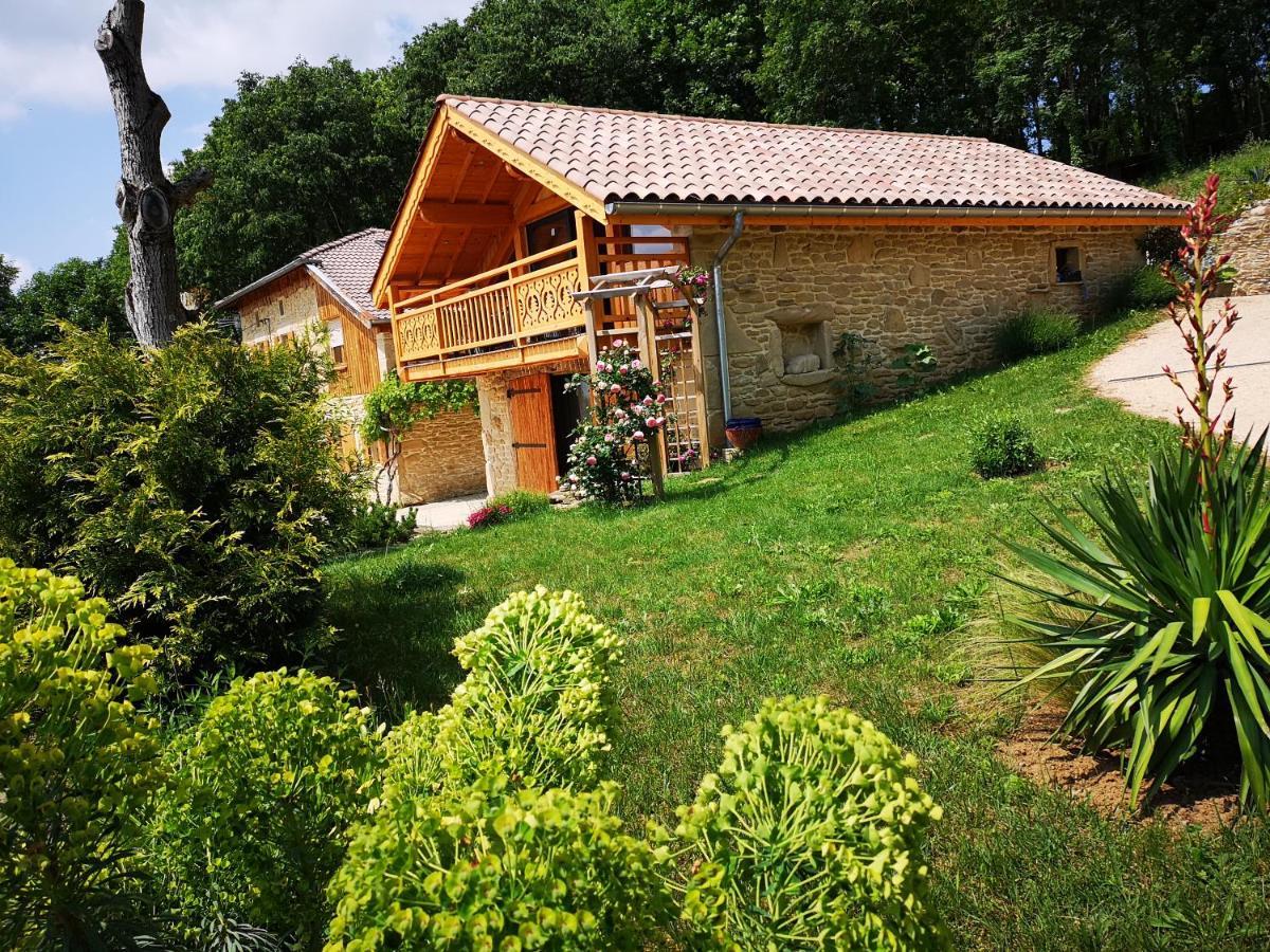 Chalet Le Clos De L'Orme Saint-Lattier Екстериор снимка