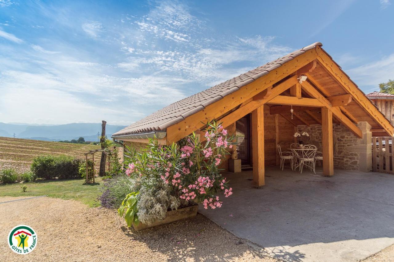 Chalet Le Clos De L'Orme Saint-Lattier Екстериор снимка