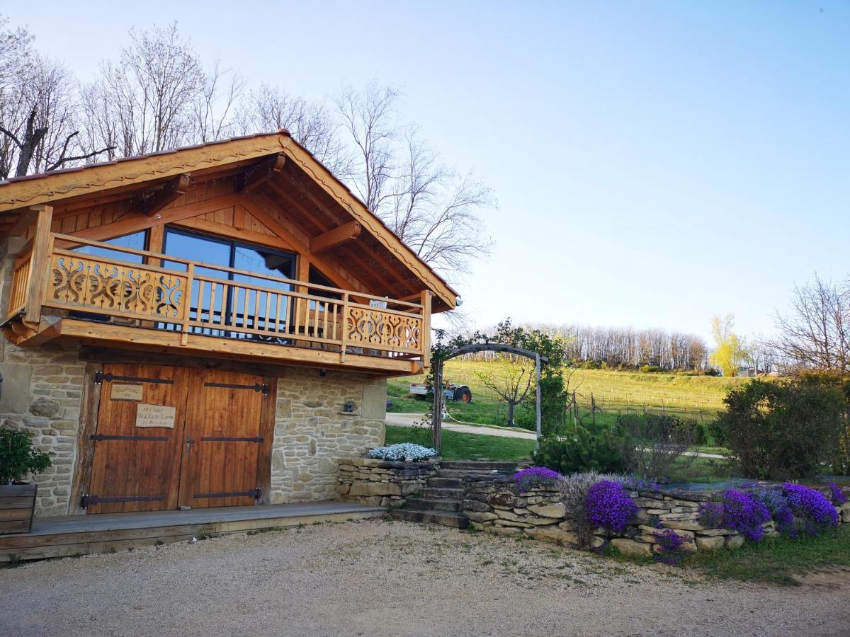 Chalet Le Clos De L'Orme Saint-Lattier Екстериор снимка